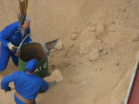 CAKED WHEAT IN BULK OWING TO WETTING DAMAGES